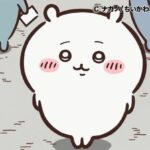 レス1番のリンク先のサムネイル画像