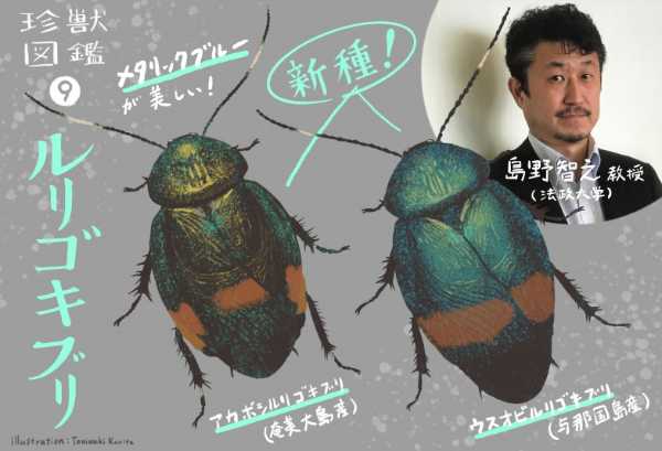 記事サムネイル