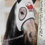 レス21番の画像1