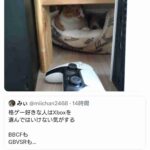 レス1番の画像3