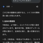 レス1番の画像4
