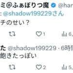レス1番の画像13