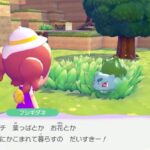 レス23番の画像1