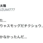 レス11番の画像1