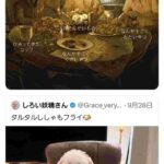 レス1番の画像1