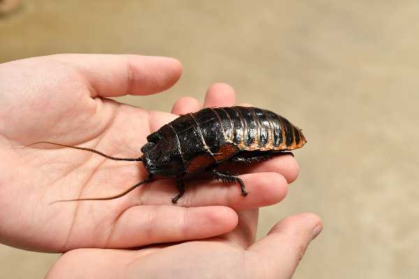 記事サムネイル