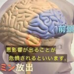 レス1番の画像3