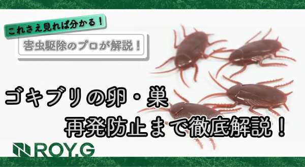 記事サムネイル