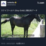 レス62番の画像1