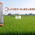 レス20番の画像2