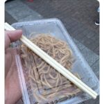 レス1番の画像1