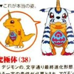 レス10番の画像1