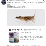 レス1番の画像3