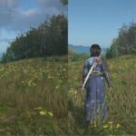 レス38番の画像1