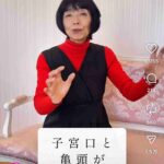 レス13番の画像1