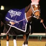 レス23番の画像1