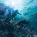 レス17番の画像1