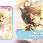 レス29番の画像1