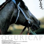 レス57番の画像1