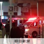 レス1番のリンク先のサムネイル画像