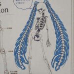 レス64番の画像1