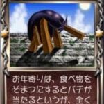 レス9番の画像1