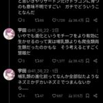 レス51番の画像1