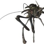 レス3番の画像1