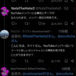 レス13番の画像1