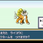 レス5番の画像1