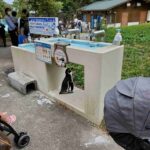 レス34番の画像4