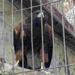 レス5番の画像6