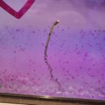 レス12番の画像1