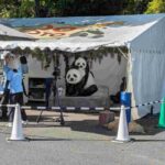 レス12番の画像3