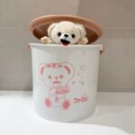 レス162番の画像1