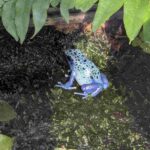 レス11番の画像3