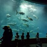 レス53番の画像3