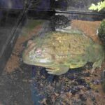 レス11番の画像2