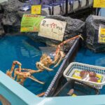 レス68番の画像2