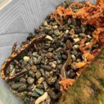 レス44番の画像1