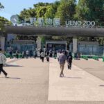 レス5番の画像1