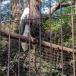 レス5番の画像5