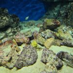 レス54番の画像1