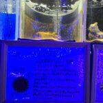 レス9番の画像3