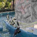 レス7番の画像1