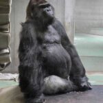 レス3番の画像1