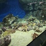 レス54番の画像2