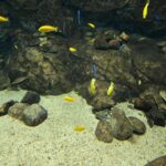 レス47番の画像4