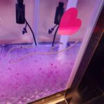 レス12番の画像3