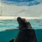 レス47番の画像2